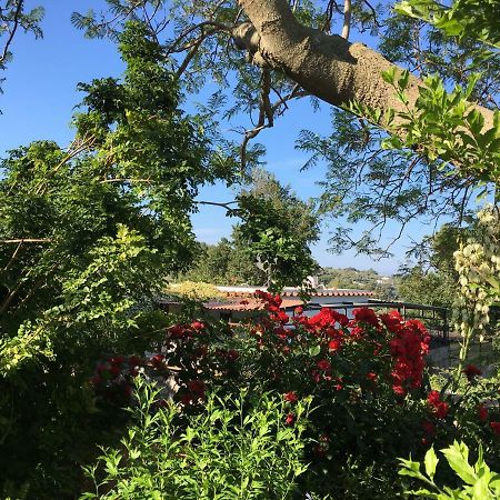 B&B Eden Frait Anacapri  Exteriör bild