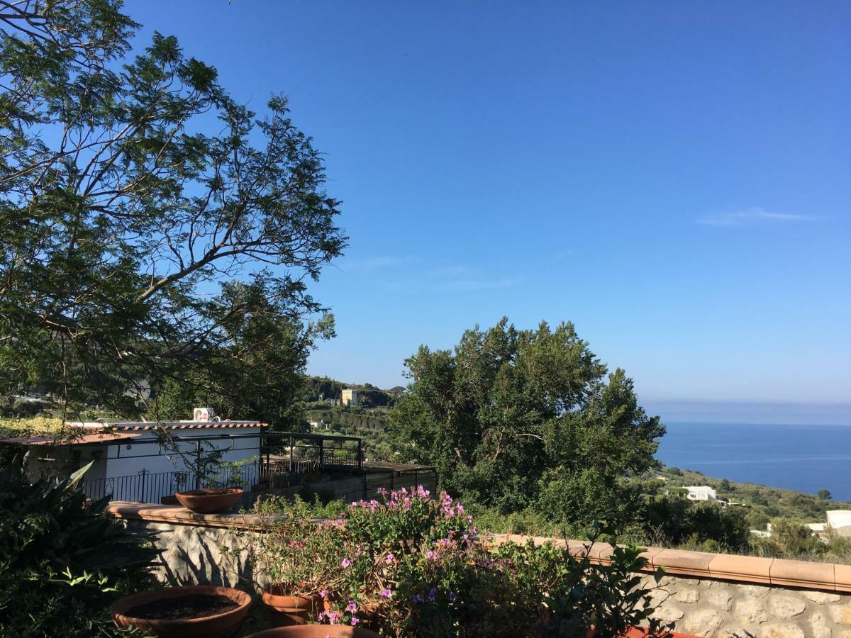 B&B Eden Frait Anacapri  Exteriör bild