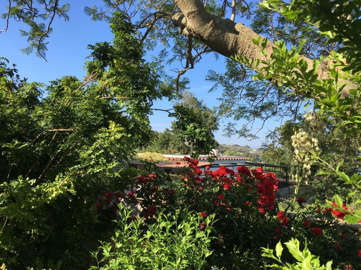 B&B Eden Frait Anacapri  Exteriör bild